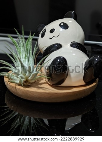 cute panda toy with air plant
