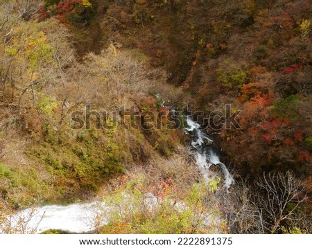 Landscape photos of river with surrounding autumn leaves, shrubs, grasses, and trees near kegon waterfalls, nikko, japan.