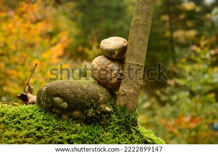 beautiful stones in an autumn forest. Stone tower leaning on a tree trunk. Landscape picture from the Zurich Oberland. High quality photo