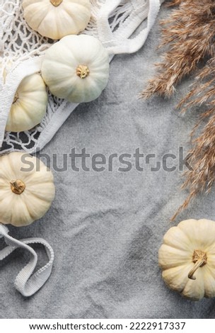 Thanksgiving or harvest flatlay with pumpkins on grey textile background. Autumn fall concept. Holiday decor. 