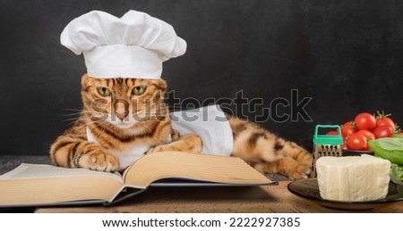 A cute Bengal cat lies next to an open recipe book on a dark background.