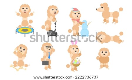 Set Abstract Collection Flat Cartoon Different Animal Pug Dogs Poodles Vector Design Style Elements Fauna Wildlife