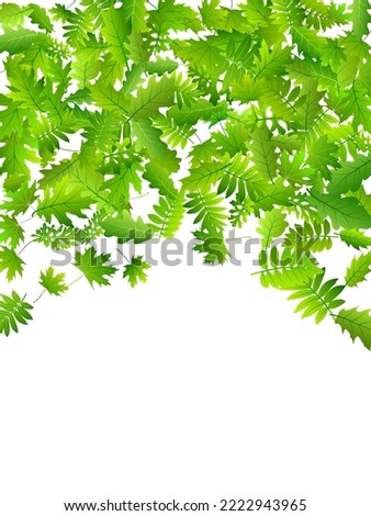 Tree leaves bright vector pattern. Tropical tree foliage closeup. Oak and maple leaves pattern. Herbal organic wallpaper. Ecology delicate vector.