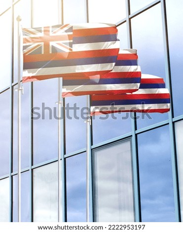 Flagpoles with the flag of State of Hawaii in front of the business center