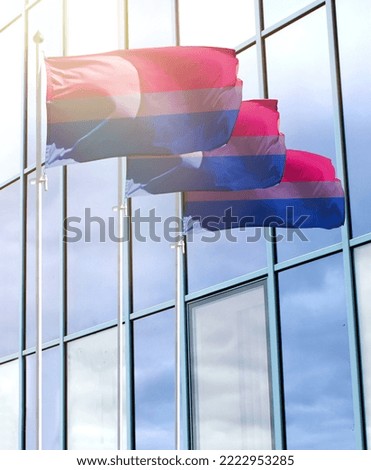 Flagpoles with the flag of Bisexual in front of the business center