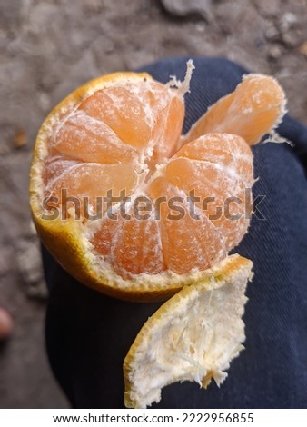 the background of a split orange fruit containing vitamin c taken in jakarta indonesia