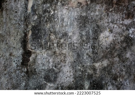 background concept using cracked old wall material, artfully chipped wall surface, shabby and mossy old wall background