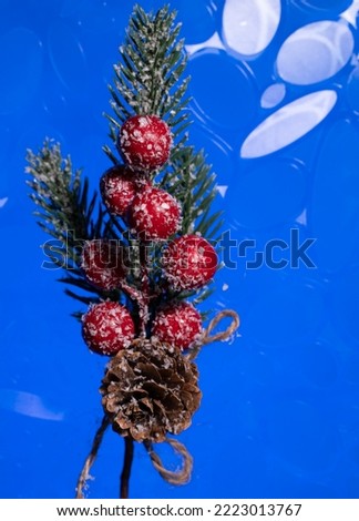 Blue background with Christmas detail of red fruits with green leaves