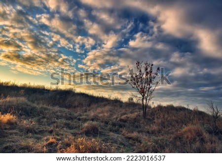 Autumn landscape of nature in october clear morning. nature of Ukraine