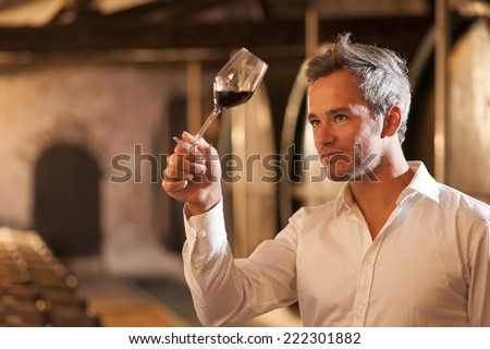 professional winemaker examining a glass of red wine in a traditional cellar surrounded by wooden barrels Royalty-Free Stock Photo #222301882