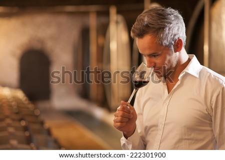 Professional winemaker smelling a glass of red wine in his traditional cellar surrounded by wooden barrels Royalty-Free Stock Photo #222301900