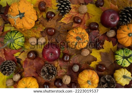 Autumn flat lay composition for Thanksgiving or Halloween. Variety of decorative gourds, pumpkins, walnuts, cones, apples and fresh conkers from a horse chestnut tree on colorful fall leaves.