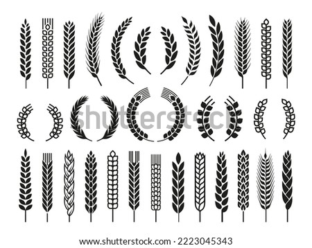 Wheat barley ears, oat isolated frames and wreaths. Grains graphic, rice or malt icons. Gluten pictogram, cereal silhouettes tidy vector set, agriculture symbols Royalty-Free Stock Photo #2223045343