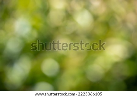 abstract blurred green background, nature bokeh
