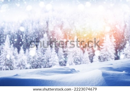 Christmas winter background with snow and blurred bokeh.Merry christmas and happy new year greeting card. Frozen winter forest with snow covered trees. outdoor