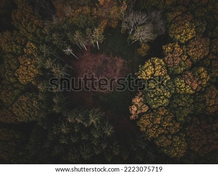 Beautiful forest picture taken with a drone. Dark colours in fall