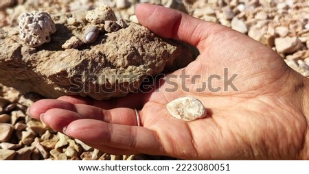 Close-up view of girl's hands holding a stone on a rocky beach, small stones in the background, photo