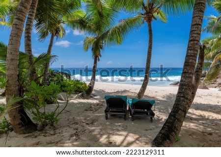 Beach loungers in the shade of palm trees on an exotic paradise beach on a tropical island. Summer vacation and tropical beach concept.