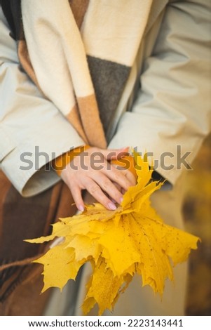 A girl with a maple leaf in her hands will enjoy autumn. Happy and smiling girl is enjoying autumn. Autumn mood.