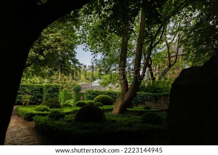 Secret garden with a tree in the middle