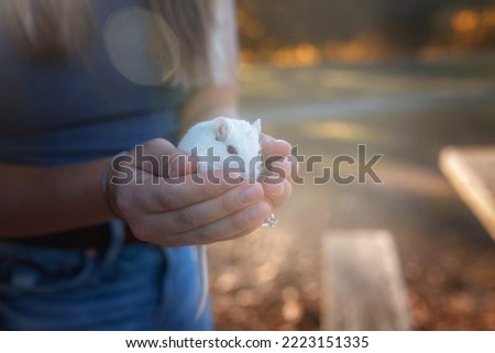 Woman Holding White Pet Gerbil