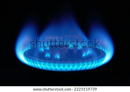 Burning gas, gas stove burner, hob in the kitchen Royalty-Free Stock Photo #2223159739