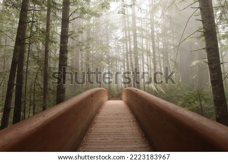 Wooden Bridge to Lady Bird Johnson Grove, Redwoods National and State Parks, California Royalty-Free Stock Photo #2223183967