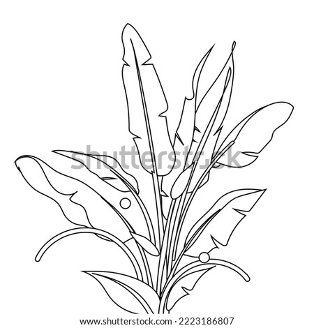 Continuous one line drawing of tropical leaf. Minimal natural eco concept artwork. Home wall decor, poster, tote bag, fabric print. Single line draw design graphic vector illustration