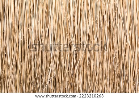 Close up of thatch roof or wall background. Tropical roofing on beach. High quality photo Royalty-Free Stock Photo #2223210263