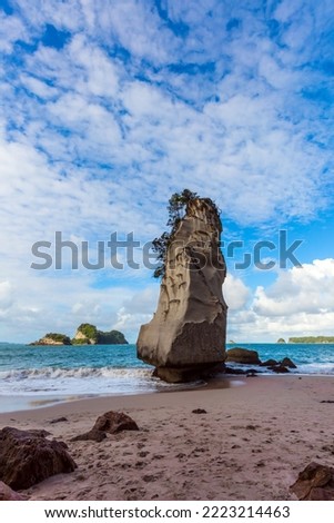 Ocean low tide in Cathedral Cove at sunset. The North Island of New Zealand. Grass and trees grow on huge picturesque rocks. The concept of exotic, ecological and photo tourism