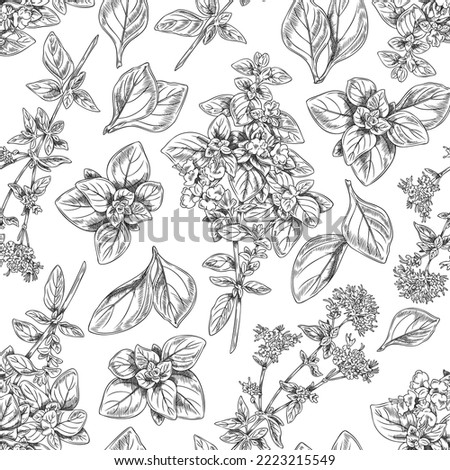 Oregano herb seamless pattern, monochrome sketch vector illustration on white background. Hand drawn oregano branches with leaves and flowers. Botanical pattern. Royalty-Free Stock Photo #2223215549