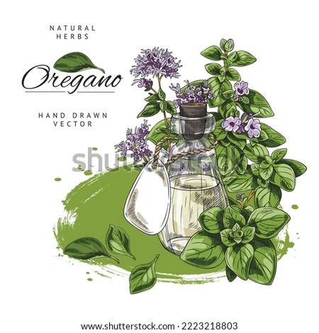 Hand drawn colorful glass bottle with oregano essential oil sketch style, vector illustration isolated on white background. Natural herbs, green leaves and purple flowers, decorative design element Royalty-Free Stock Photo #2223218803