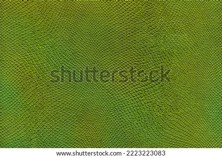 Green reptile texture in high quality. Stock photo of animal camouflage. Space for text in vertical orientation.