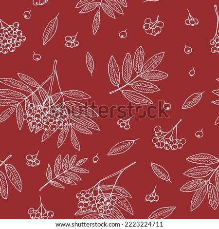 rowan berries, bunches and leaves seamless pattern hand drawn in doodle style.  Royalty-Free Stock Photo #2223224711