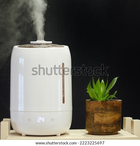 A working white humidifier on a black background next to a houseplant, water vapor