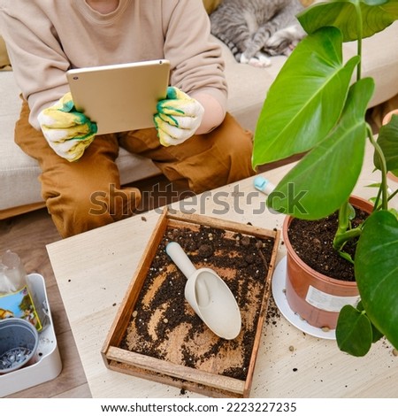 Woman gardener holds tablet in her hands for online learning on plants. Blogger shoots videos and photos of home gardening for an online blog