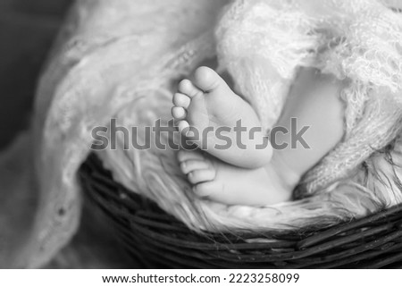 Close up picture of new born baby feet in knitted plaid
