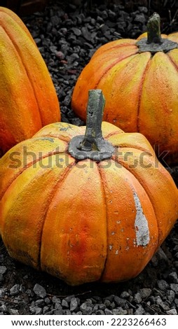 some pumpkins are seen above the ground