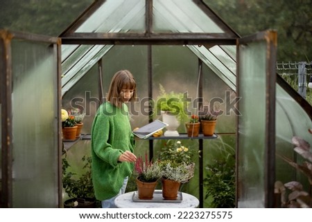 Young woman taking care of plants, standing with a digital tablet in tiny orangery at backyard. Hobby of growing plants concept Royalty-Free Stock Photo #2223275575