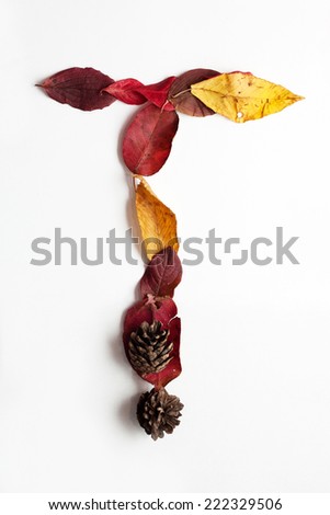 alphabetic character T in autumn style