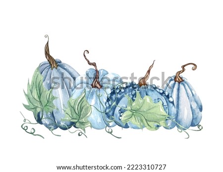 Watercolor pumpkin composition, floral pumpkins, Halloween clip art, autumn design elements, fall arrangement of blue and white pumpkins. Harvest illustration isolated on white background