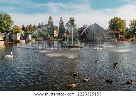 Ducks on the lake in the park. Park in the fall. Autumn trees. Wild ducks are reflected in the lake. Multi-colored bird feathers. A pond with wild ducks and drakes. A duck lake full of beautiful ducks