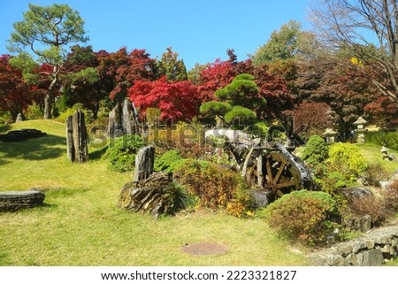 Beautiful view in Garden of Morning Calm outdoor park in an autumn season Royalty-Free Stock Photo #2223321827