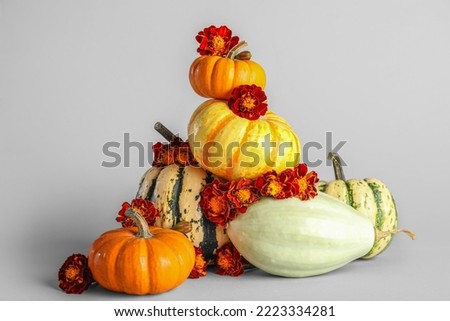 Composition with Halloween pumpkins and beautiful marigolds on white background