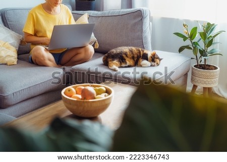 Woman working on laptop while sitting on gray couch with sleeping cat pet. Cozy workspace in modern interior with green plants. Remote work at home. Online education or entertainment. Selective focus