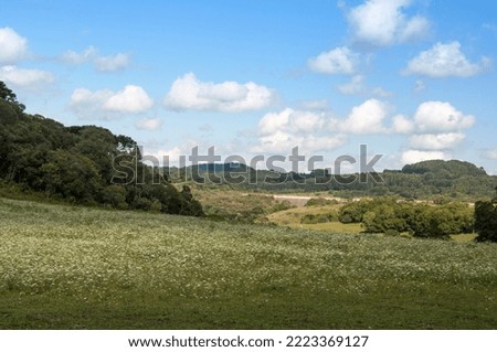 Field with trees and mountains and blue sky with clouds in the background