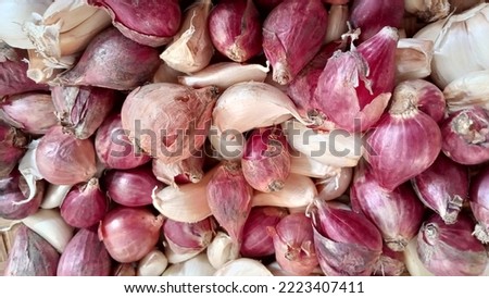 Fresh Garlic and onion for background. 