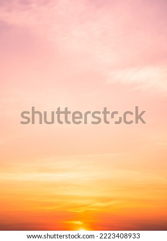 Orange Summer Sky Vertical, Sunset in the Evening, Romantic Golden Hour sunshine Pink, Red and Yellow Sunlight sky Backgrounds 