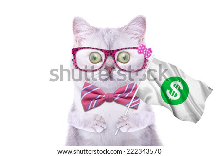 Smart beautiful british cat with a dollar icon. Funny animals. Trendy cat dressed in beautiful clothes