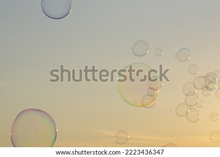 Soap bubbles at sunset. Photo taken in August 2022 in Viareggio in Tuscany on the seafront avenue.